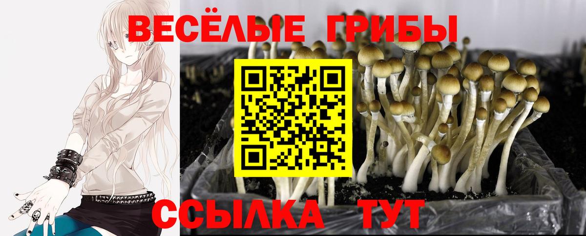 Галлюциногенные грибы GOLDEN TEACHER Северодвинск